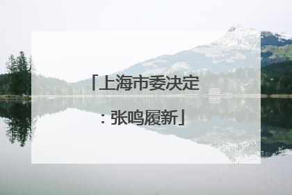 上海市委决定：张鸣履新