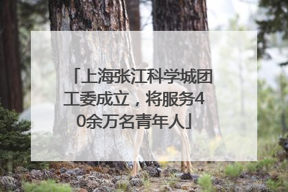 上海张江科学城团工委成立，将服务40余万名青年人