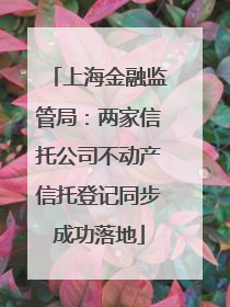 上海金融监管局：两家信托公司不动产信托登记同步成功落地