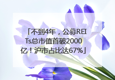 不到4年，公募REITs总市值首破2000亿！沪市占比达67%