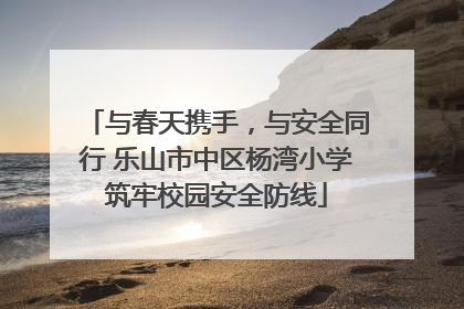 与春天携手，与安全同行 乐山市中区杨湾小学筑牢校园安全防线