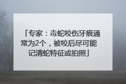 专家：毒蛇咬伤牙痕通常为2个，被咬后尽可能记清蛇特征或拍照
