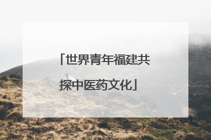 世界青年福建共探中医药文化
