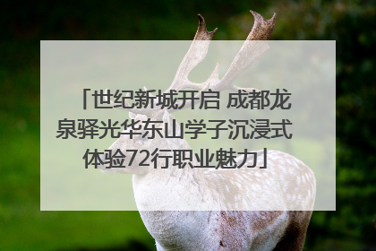 世纪新城开启 成都龙泉驿光华东山学子沉浸式体验72行职业魅力