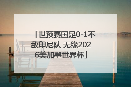 世预赛国足0-1不敌印尼队 无缘2026美加墨世界杯