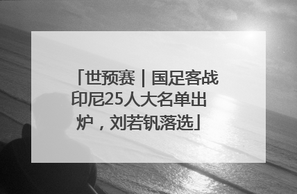 世预赛｜国足客战印尼25人大名单出炉，刘若钒落选