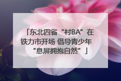 东北四省“村BA”在铁力市开场 倡导青少年“息屏拥抱自然”