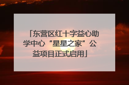 东营区红十字益心助学中心“星星之家”公益项目正式启用