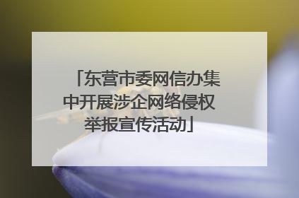 东营市委网信办集中开展涉企网络侵权举报宣传活动