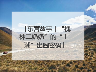 东营故事｜“槐林二奶奶”的“土潮”出圈密码