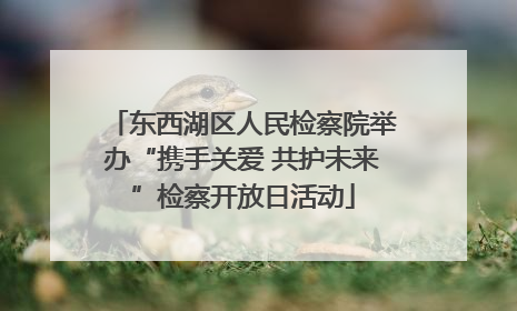 东西湖区人民检察院举办“携手关爱 共护未来”检察开放日活动