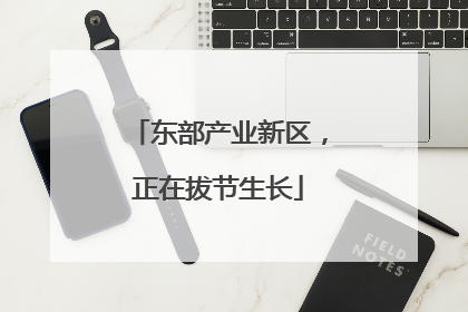 东部产业新区，正在拔节生长