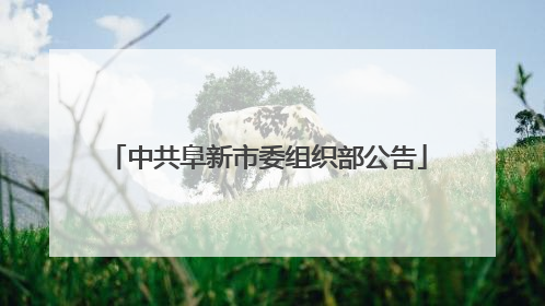 中共阜新市委组织部公告