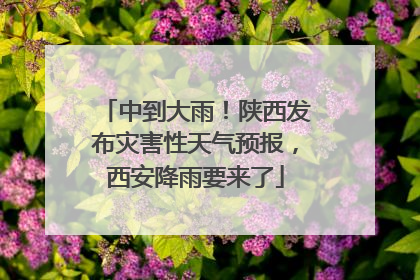 中到大雨！陕西发布灾害性天气预报，西安降雨要来了