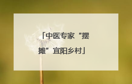 中医专家“摆摊”宜阳乡村
