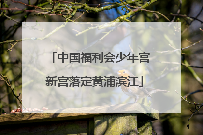 中国福利会少年宫新宫落定黄浦滨江