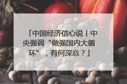 中国经济信心说丨中央强调“做强国内大循环”，有何深意？