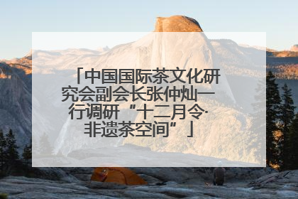 中国国际茶文化研究会副会长张仲灿一行调研“十二月令·非遗茶空间”