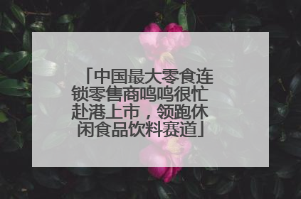 中国最大零食连锁零售商鸣鸣很忙赴港上市，领跑休闲食品饮料赛道