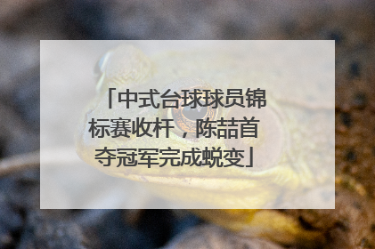中式台球球员锦标赛收杆，陈喆首夺冠军完成蜕变