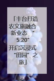 丰台打造农文旅融合新业态 “5.20”开启沉浸式“田园”之旅