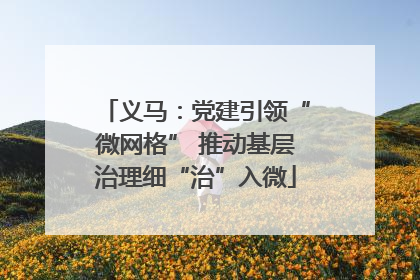 义马：党建引领“微网格” 推动基层治理细“治”入微