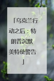 乌克兰行动之后：特朗普沉默 美特使警告
