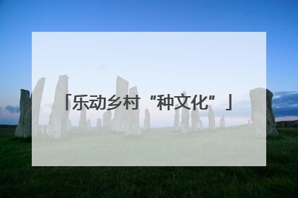 乐动乡村“种文化”