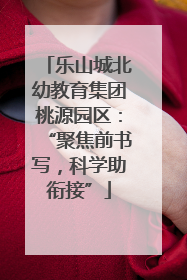 乐山城北幼教育集团桃源园区：“聚焦前书写，科学助衔接”