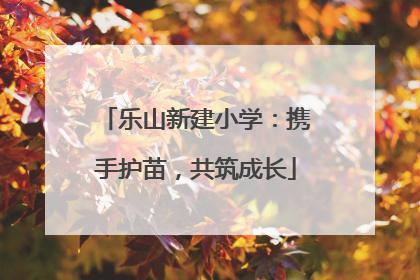 乐山新建小学：携手护苗，共筑成长