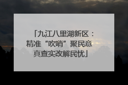 九江八里湖新区：精准“吹哨”聚民意 真查实改解民忧