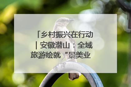 乡村振兴在行动｜安徽潜山：全域旅游绘就“景美业兴民富”新画卷