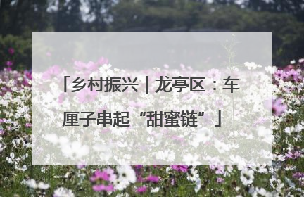 乡村振兴｜龙亭区：车厘子串起“甜蜜链”