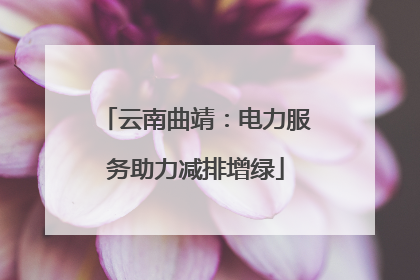 云南曲靖：电力服务助力减排增绿