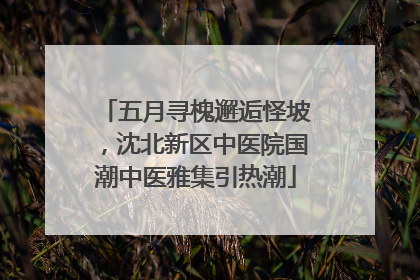 五月寻槐邂逅怪坡，沈北新区中医院国潮中医雅集引热潮