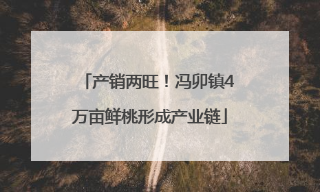 产销两旺！冯卯镇4万亩鲜桃形成产业链