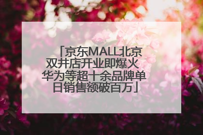 京东MALL北京双井店开业即爆火 华为等超十余品牌单日销售额破百万