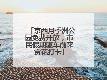 京西月季洲公园免费开放，市民假期驱车前来赏花打卡