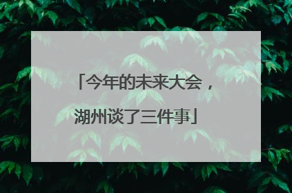今年的未来大会，湖州谈了三件事