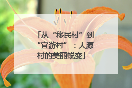 从“移民村”到“宜游村”：大源村的美丽蜕变