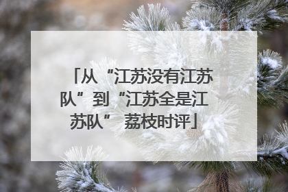 从“江苏没有江苏队”到“江苏全是江苏队” 荔枝时评
