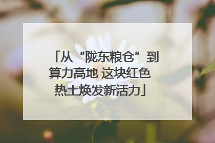 从“陇东粮仓”到算力高地 这块红色热土焕发新活力