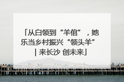 从白领到“羊倌”，她乐当乡村振兴“领头羊”｜来长沙 创未来