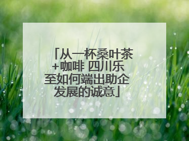 从一杯桑叶茶+咖啡 四川乐至如何端出助企发展的诚意