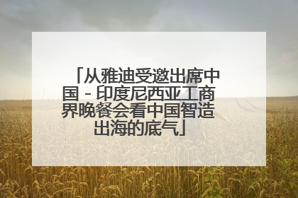 从雅迪受邀出席中国－印度尼西亚工商界晚餐会看中国智造出海的底气