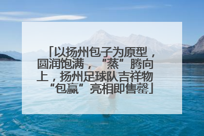 以扬州包子为原型，圆润饱满，“蒸”腾向上，扬州足球队吉祥物“包赢”亮相即售罄