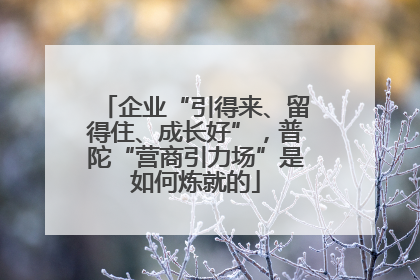 企业“引得来、留得住、成长好”，普陀“营商引力场”是如何炼就的