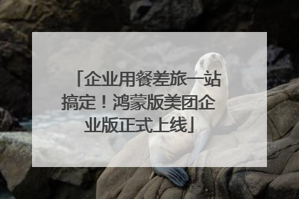 企业用餐差旅一站搞定！鸿蒙版美团企业版正式上线