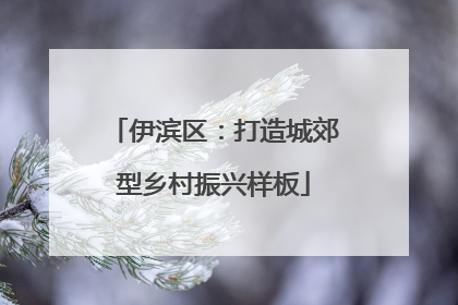 伊滨区：打造城郊型乡村振兴样板