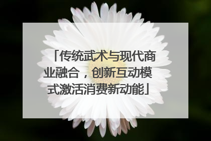 传统武术与现代商业融合，创新互动模式激活消费新动能